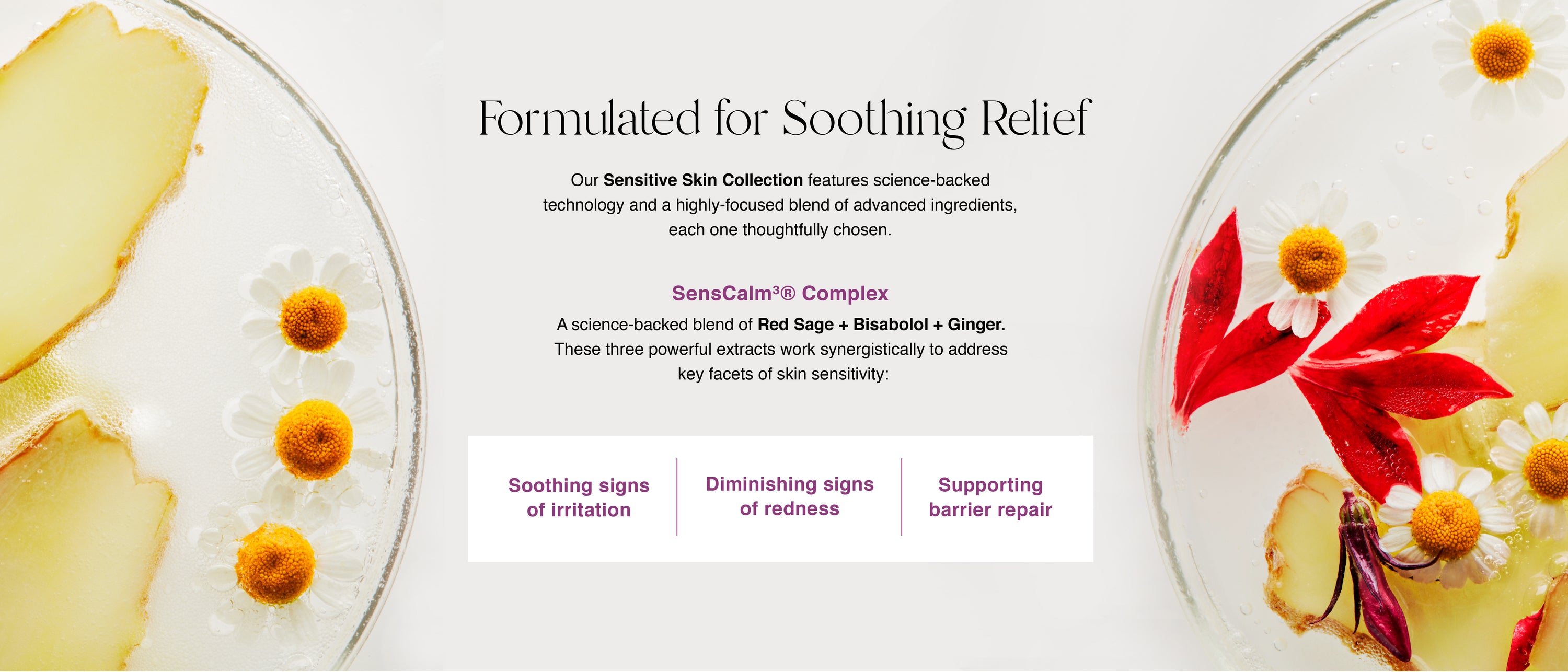 Image of Formulated for Soothing Relief. Our Sensitive Skin Collection features science-backed technology and a highly focused blend of active ingredients, each one thoughtfully chose. 